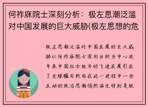 何祚庥院士深刻分析：极左思潮泛滥对中国发展的巨大威胁(极左思想的危害)