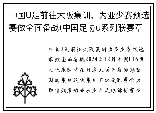 中国U足前往大阪集训，为亚少赛预选赛做全面备战(中国足协u系列联赛章程)